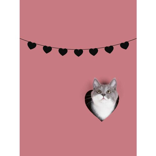 ������ ������ �������� �������� �������� �� ���� ������ - ������ ����