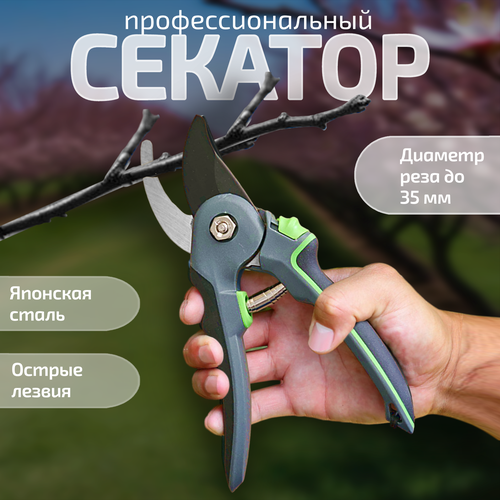 ������ ������ ������� ��������, ������� ���������������� ��� ���� � ������� ����