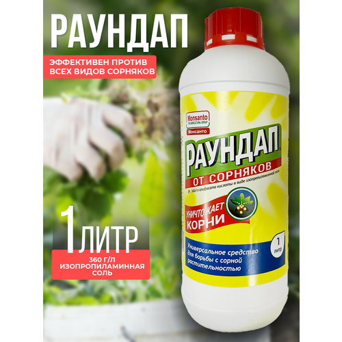 ������ ������ 1 ���� ! ������� �������� �� �������� ����