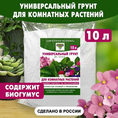 ������ ������ ������������� ����� ��� ��������� �������� 10 � ����