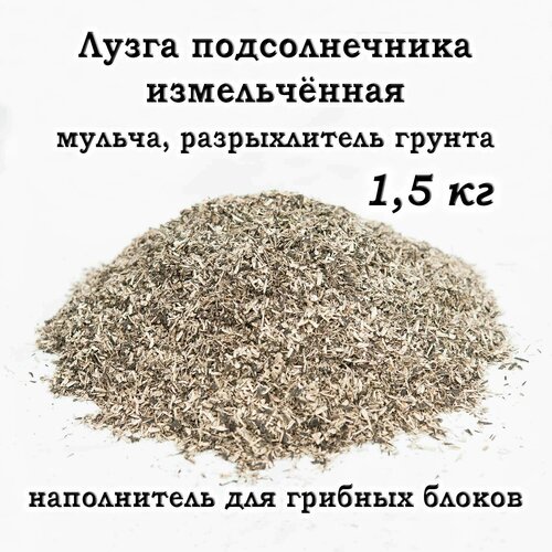 ������ ������ ����� ������������� ������������, ������, ������������ ��� �����, ����������� ��� ������� ������, 1.5��. ����