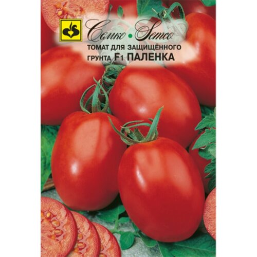 ������ ������ ������ ����� ������� F1 5�� ����� (�����) ����