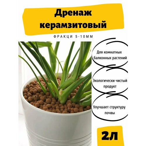 ������ ������ ������ / �������� ������ 2� ����