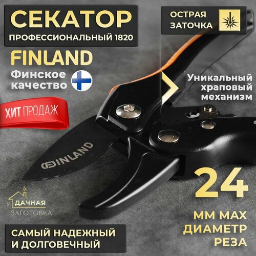 ������ ������ ������� ������� ��� ���� � ������� 1820 ����