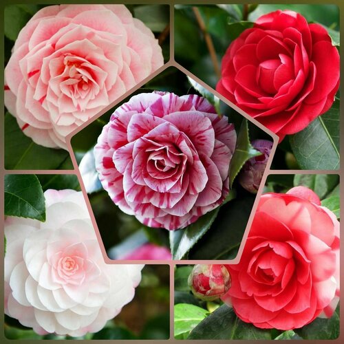 ������ ������ ������ ��������� ������ ������� �������� 10 ��. ����������� ����