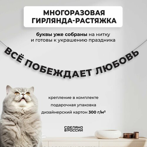 ������ ������ ��������-�������� �������� �Ѩ ��������� ������ (240 ��) - ������ ����� � �������� ������� ���� ��� �������� �������� ����