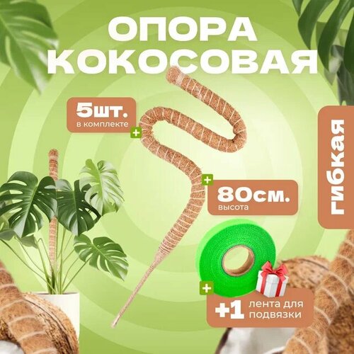 ������ ������ ��������� ����� ��� �������� ������, 80��, 5�� ����