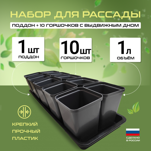 ������ ������ ����� ������� � ��������� ���� 1�. 10�� �� �������, ��� ������� ����