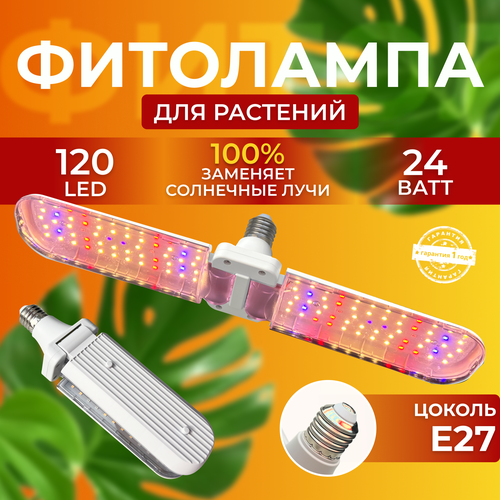            ,   120 LED 24    -     , -,   