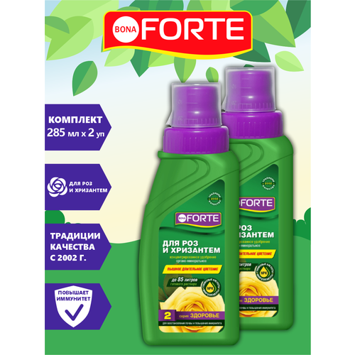   Bona Forte       285 . x 2 .   -     , -,   