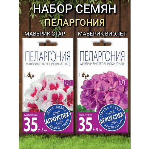 ������ ������ ������ ��������� ������ ��������� ���������� ����� �������: ���� � ������ ����