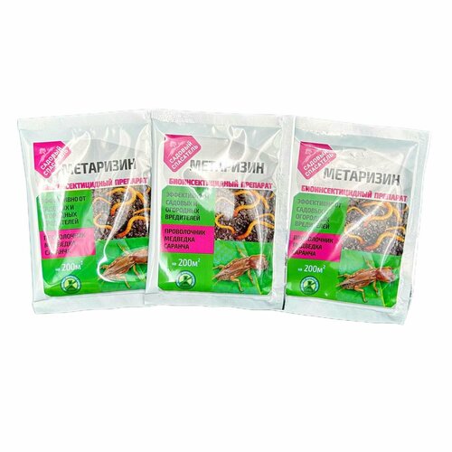 ������ ������ ��������� 25�� / 3�� ����