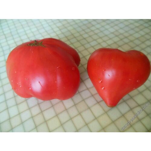 ������ ������ ������������� ������ ������ ������� ���� ����