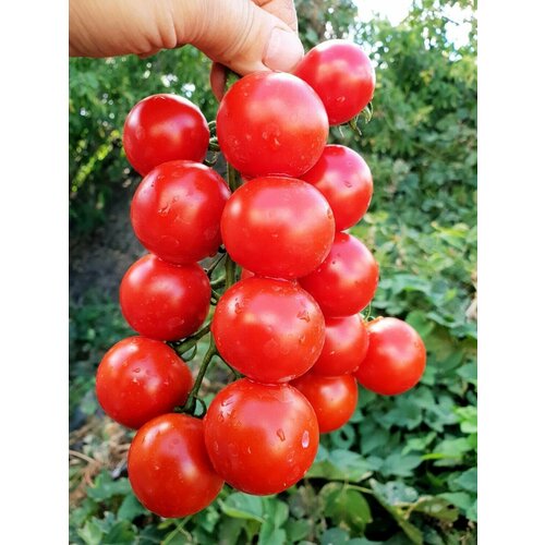 ������ ������ ������������� ������ ������ ��������� ��������� ����