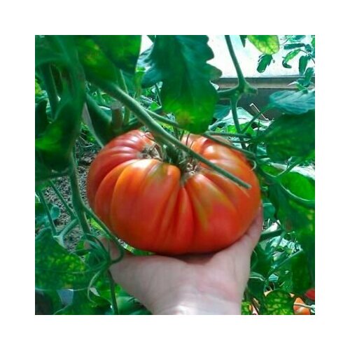 ������ ������ ������������� ������ ������ ������ ������ ����