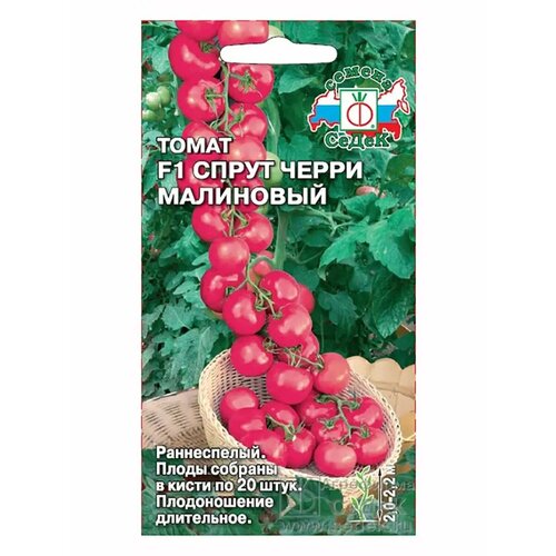 ������ ������ ����� ����� 