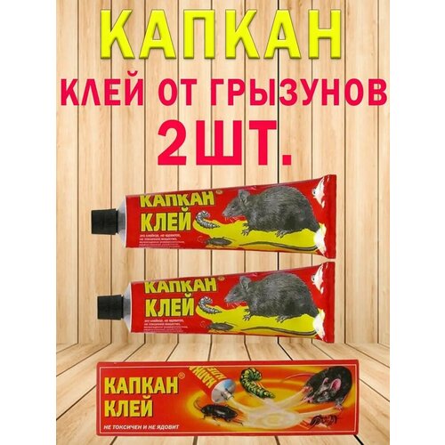 ������ ������ ������ �� ����, �����, ���� �� ��������. ����