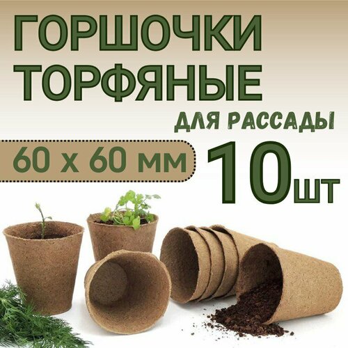 ������ ������ �������� ���������� �������� ������� ��� ������� � ����������� ������� �� ������������ ����� 60*60 ��, ����� 10 �� ����