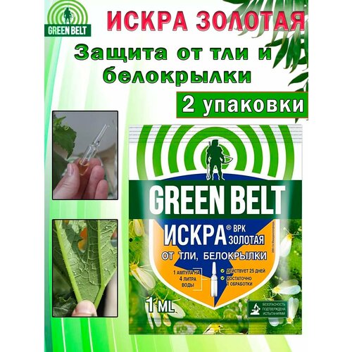 ������ ������ ����� ������� Green Belt, �� ���, ����������, ������������ ���� 1 �� ����