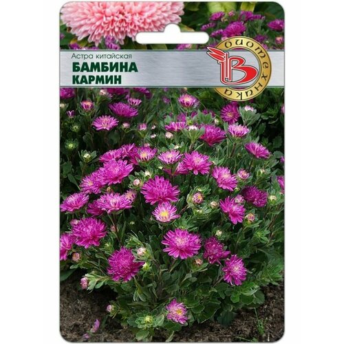 ������ ������ ������ ����� ��������� 