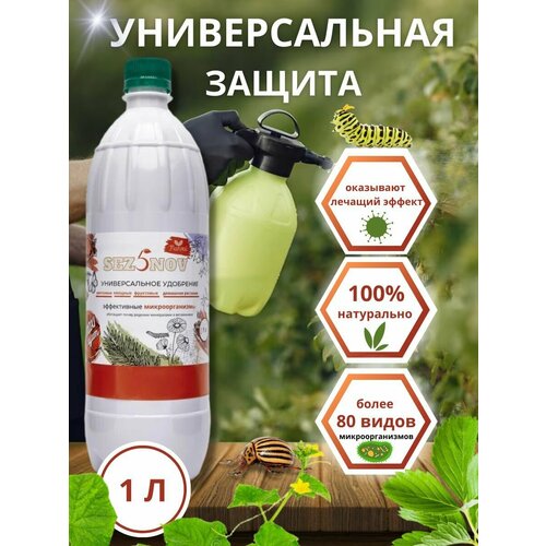 ������ ������ ��������� MAXI ���, ��������� ��� �������, ���� � �������, ��������� ��������, 1000 ��. ����