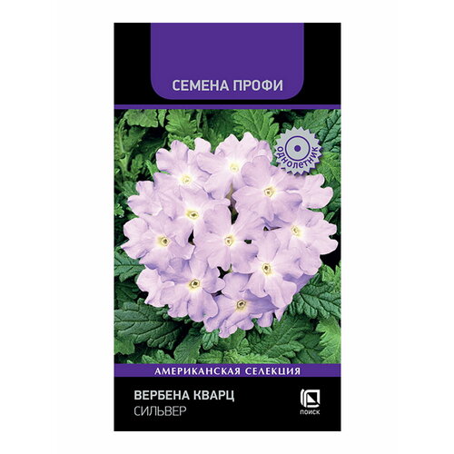 ������ ������ ������ ������� ����� ������� ���������� 10 ��. ����