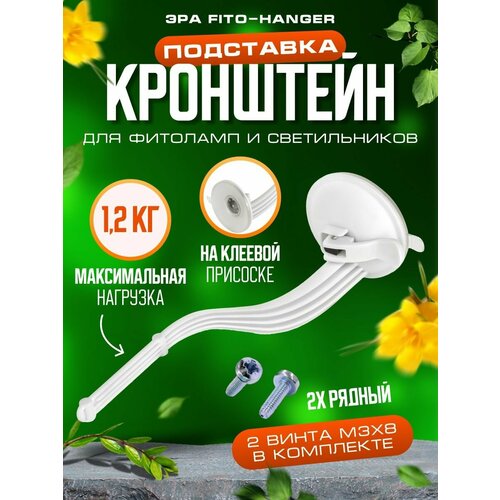 ������ ������ ��������� ��� ��������� ����