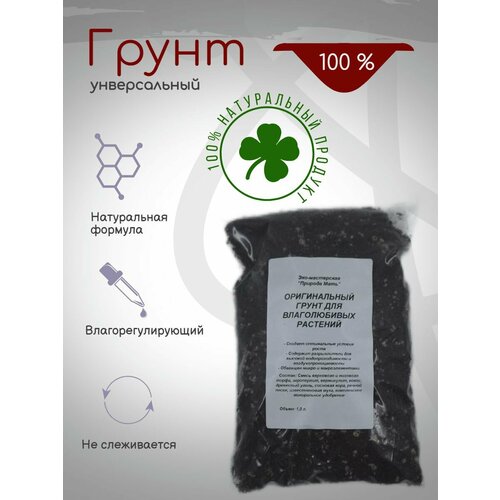 ������ ������ ������� ����� ��� �������� ��������, 1�. ����