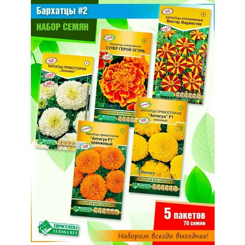 ������ ������ ����� ����� ������� ������ 