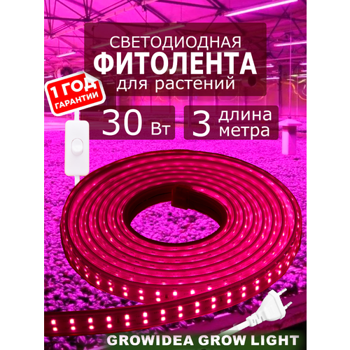 ������ ������ ��������� ����