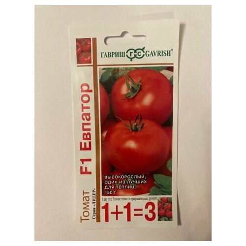 ������ ������ ����� 