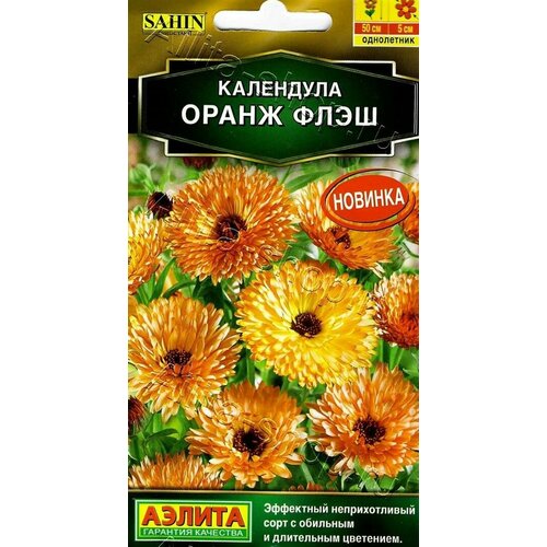 ������ ������ ������ ��������� ����� ���� 0,1� (������) ����