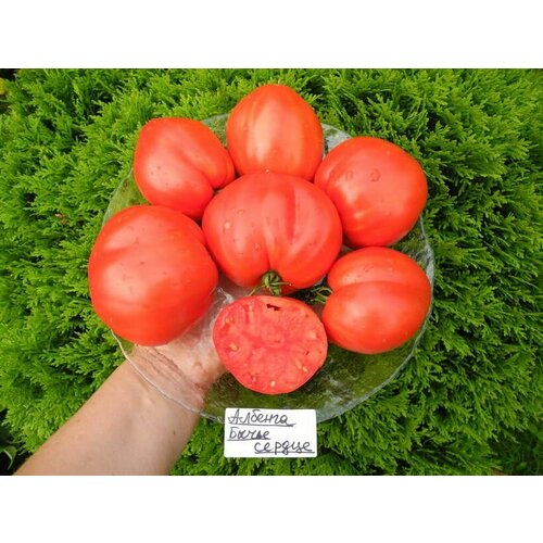 ������ ������ ������������� ������ ������ ������� ����� ������ ����