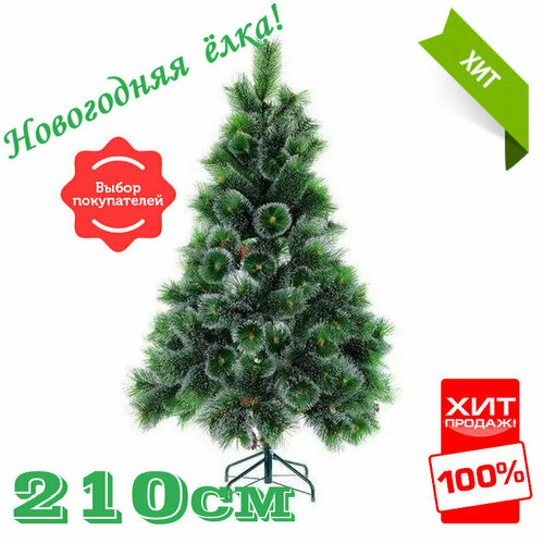 ������ ������ ���������� ������������� ���� 210 �� ����