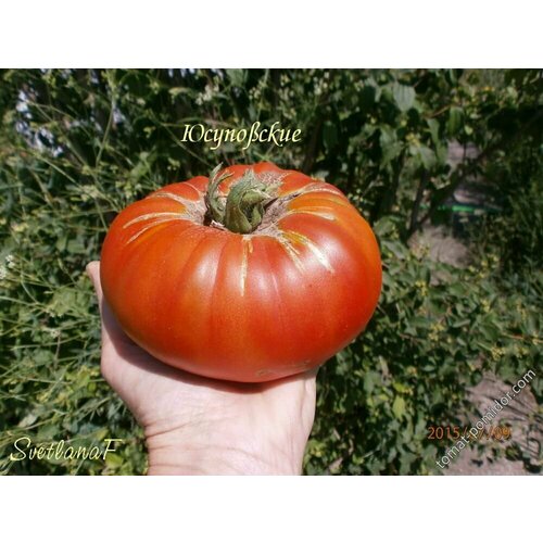 ������ ������ ������������� ������ ������ ���������( ����������) ����