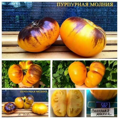 ������ ������ ������������� ������ ������ ��������� ������ ����