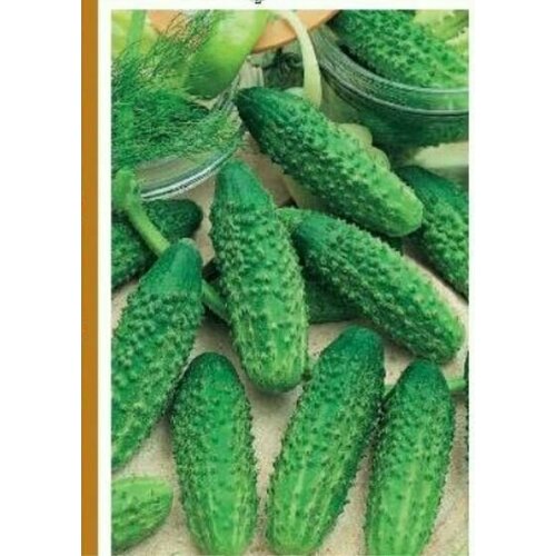 ������ ������ ������������� ������ ������ ���������� F1 ����