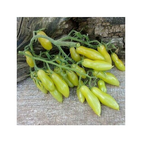 ������ ������ ������������� ������ ������ ��������� ������ ������ ����