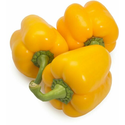 ������ ������ ������������� ������ ����� �������� ������ ����