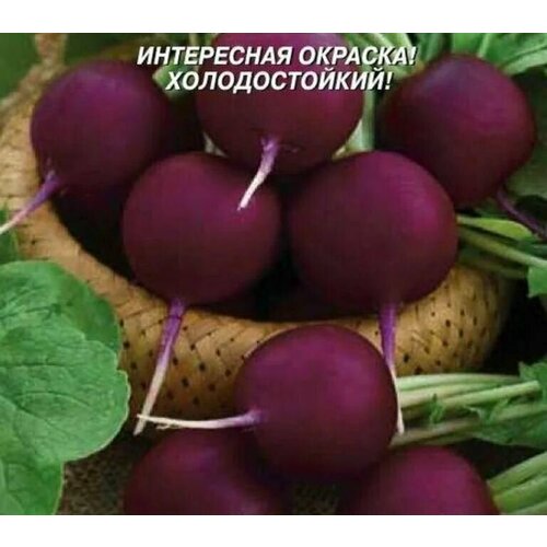 ������ ������ ������������� ������ ������ ����������� ������� ����