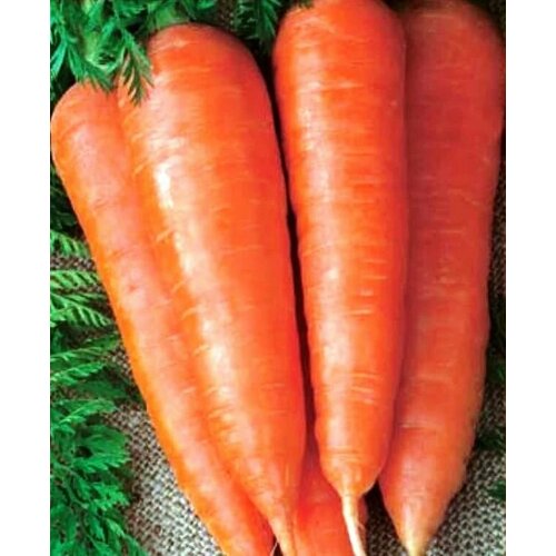 ������ ������ ������������� ������ ������� ������ ����