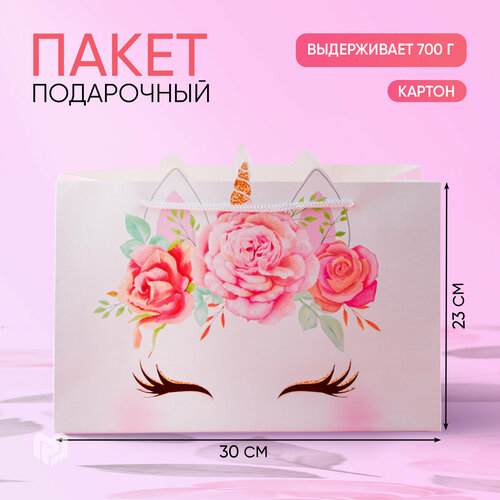 ������ ������ ����� ���������� �������������� 