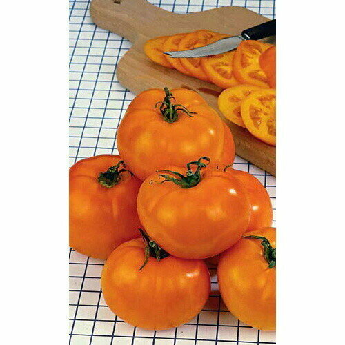 ������ ������ ������ ����� ����������� (����) �/� ����