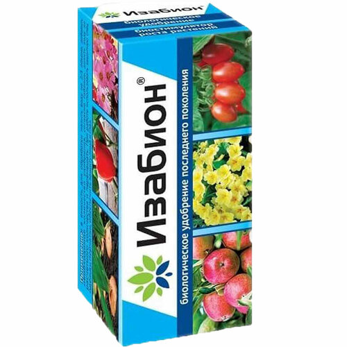 ������ ������ �������, ����������������� ���������, ������������� ����� ��������, 50 �� ����