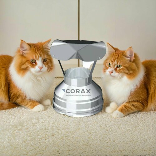 ������ ������ ���� ��� �������� �� ����. ����� 