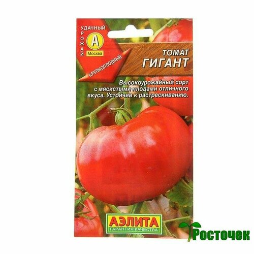 ������ ������ ����� ������ ����