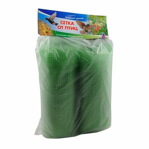 ������ ������ ����� �� ����, 2 � 10 � ����