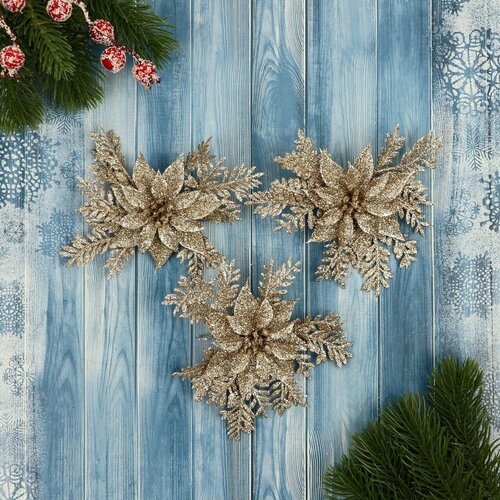 ������ ������ ������� ��������� ����� ��������� ����