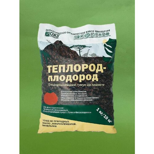 ������ ������ ��������-�������� ����� � ���� � ������������ 1�� ����