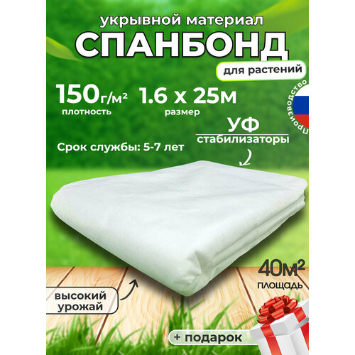 ������ ������ �������� ����� ��� �������� ������� ������� �������� 150 ����